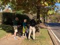 tree walk 2023   tree walk 2023