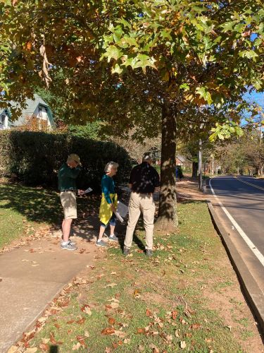 tree walk 2023   tree walk 2023