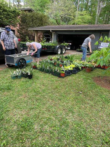 2024 plant sale   2024 plant sale
