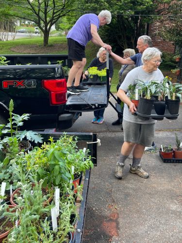 2024 plant sale   2024 plant sale