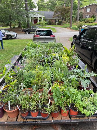 2024 plant sale   2024 plant sale
