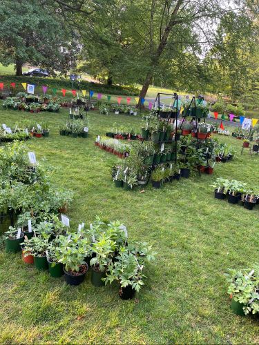 2024 plant sale   2024 plant sale