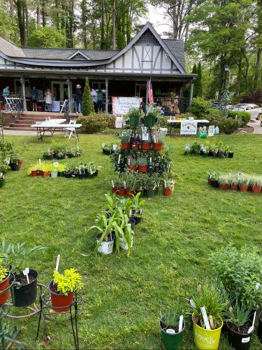 2024 plant sale   2024 plant sale