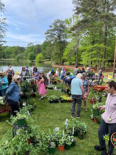 2024 plant sale   2024 plant sale