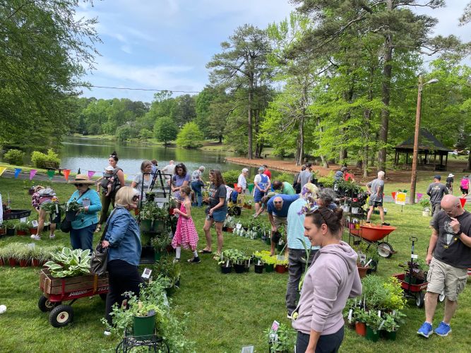 2024 plant sale   2024 plant sale