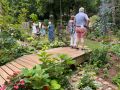 secret gardens 2024   secret gardens 2024