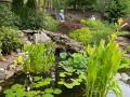 secret gardens 2024   secret gardens 2024