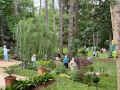 secret gardens 2024   secret gardens 2024