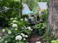 secret gardens 2024  secret gardens 2024